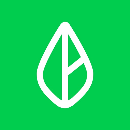Branch: A Better Payday app icon, version 1