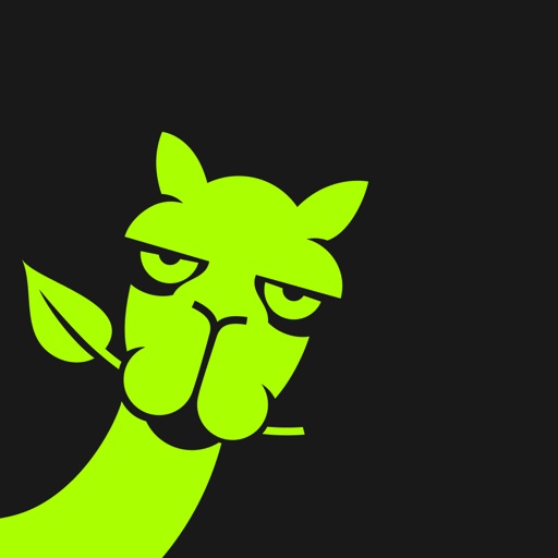 Nana نعناع app icon, version 1