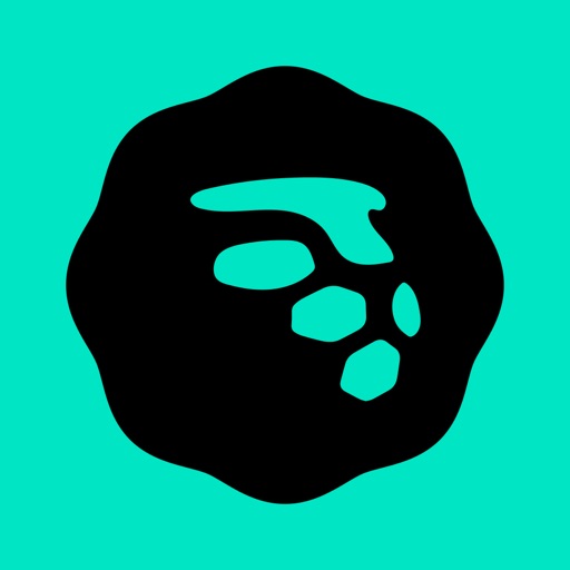 MoneyLion: Cash Advance App app icon, version 1