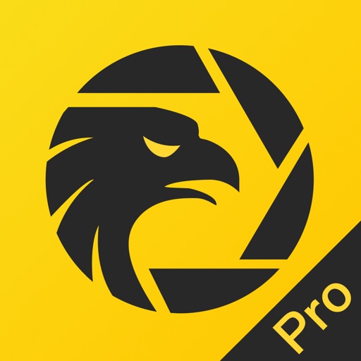 WikiFX: Forex Broker Check app app icon, version 1