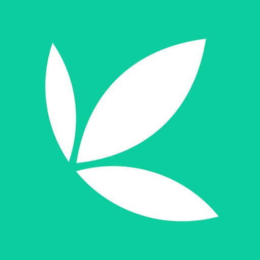 Bamboo: Invest. Trade. Earn. app icon, version 1