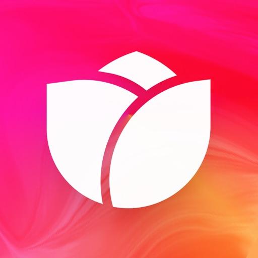 Bloom: Learn to Invest app icon, version 1