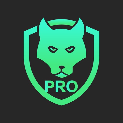 CrazyDog Speed Pro app icon, version 1