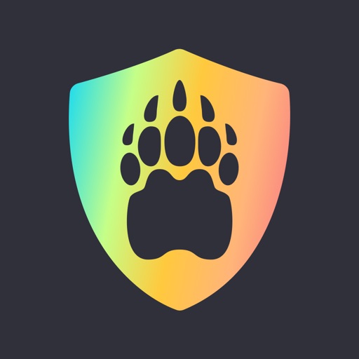 VPN - Bear VPN Proxy app icon