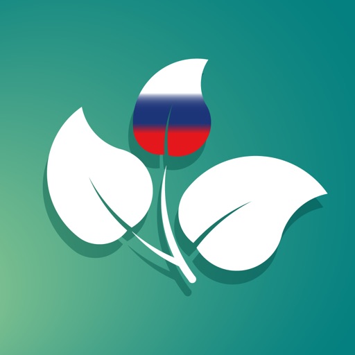 Russian - Twigit app icon