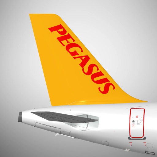 Pegasus: Cheap Flight Tickets app icon, version 1