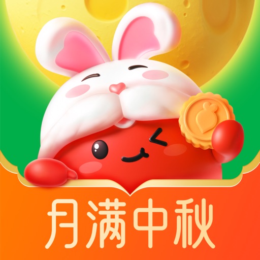 叮咚买菜——品质之爱 app icon, version 1