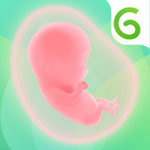 Nurture Pregnancy Week by Week app icon, version 1
