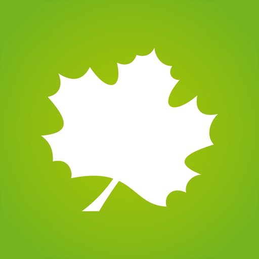 bossaMobile app icon, version 1