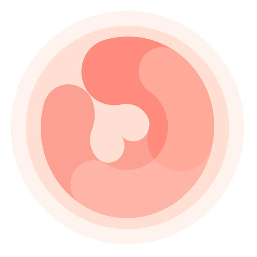 HiMommy: Ovulation & Pregnancy app icon