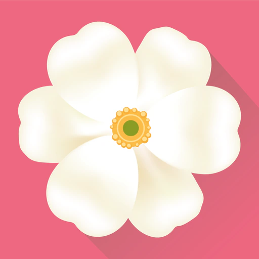 Period tracker, calendar app icon