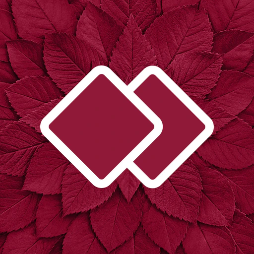 Mascotte магазин модной обуви app icon