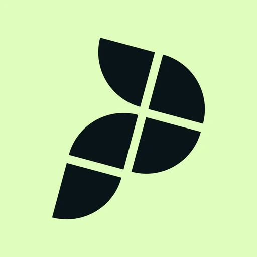 Playbypoint app icon