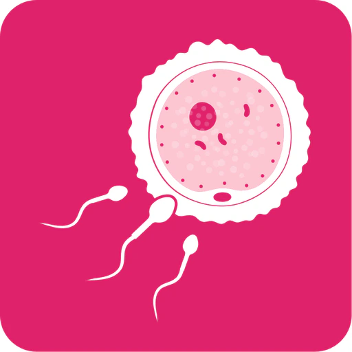 Period & Ovulation Calculator app icon