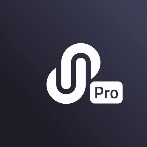 Delupay Pro, le paiement easy app icon