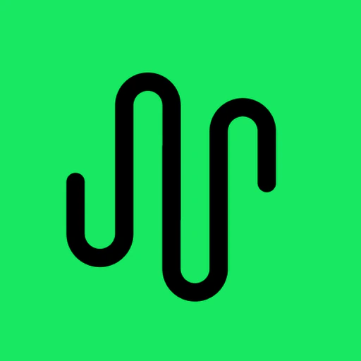 Analyzer for Spotify Stats app icon