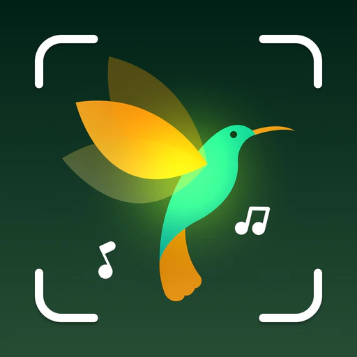 Bird Identifier: Aves Sound ID app icon