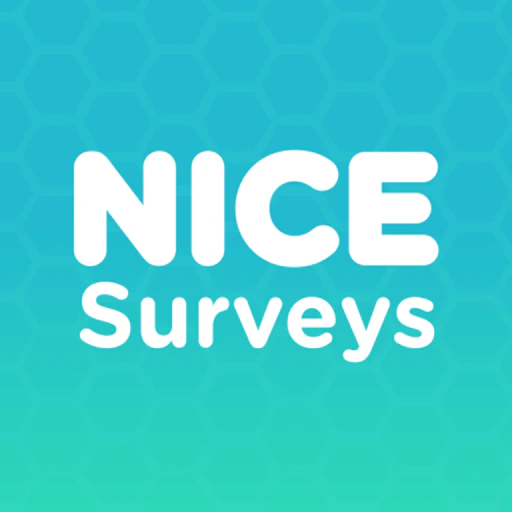 NiceSurveys: Earn Smarter app icon
