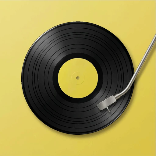 Spinyl - Vinyl Music Player app icon