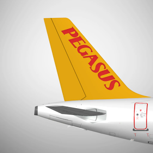 Pegasus: Cheap Flight Tickets app icon