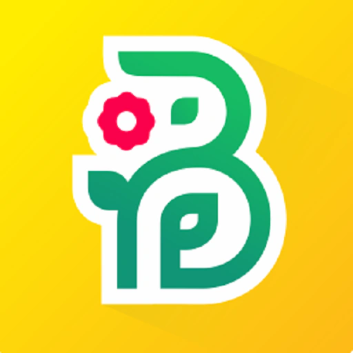 Buchet - цветы и подарки app icon