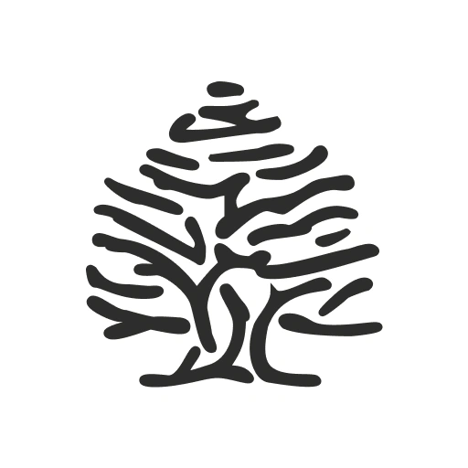 Springfield: Moda hombre/mujer app icon