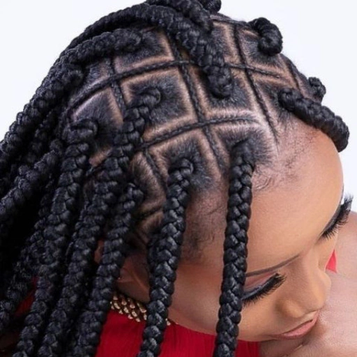 Long Braids Hairstyles app icon