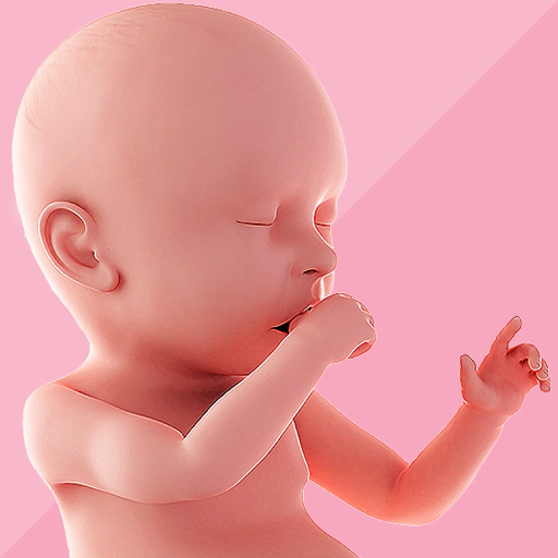 Pregnancy Tracker & Day by Day app icon